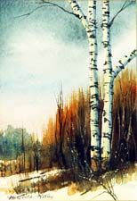 Birch Trees #2